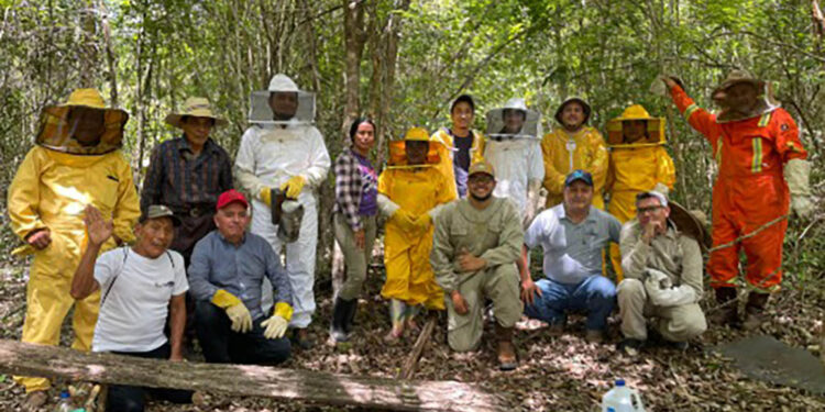 Realizan diplomado en Turismo Apícola