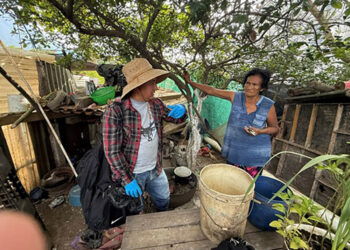 Realizan jornada de vigilancia epidemiológica porcina en Escuintla