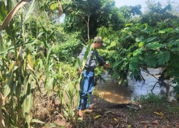 Saturación de suelos activa monitoreo en 80 municipios del país