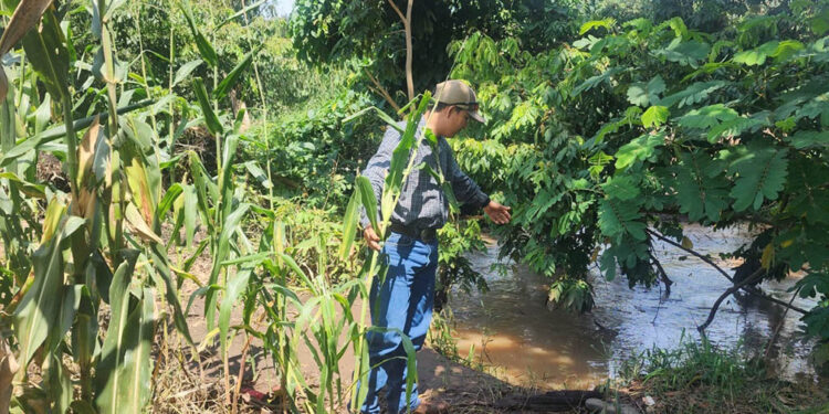Saturación de suelos activa monitoreo en 80 municipios del país