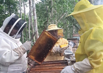 Se brinda asistencia técnica apícola en caserío El Achotal, Poptún