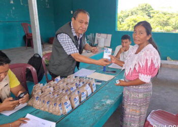 Semillas de hortalizas fortalecen agricultura familiar en Santa Bárbara, Suchitepéquez