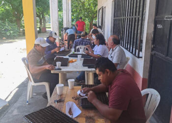 Siembran semillas de chile en bandejas para apoyar a productores de Santa Ana