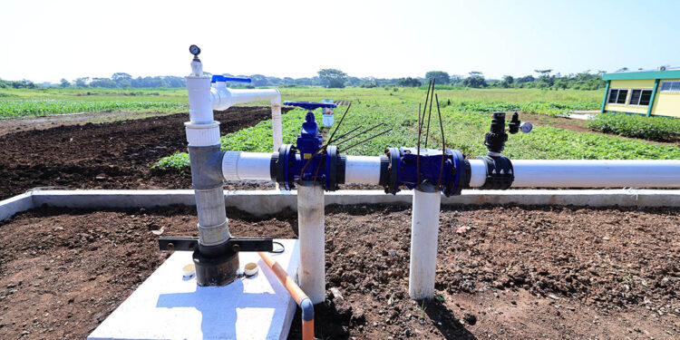 Tecnificación del riego en el ICTA-CEPSUR permitirá mejor gestión del agua