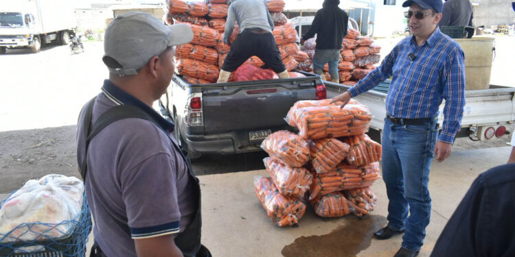 Trabajando junto a los productores