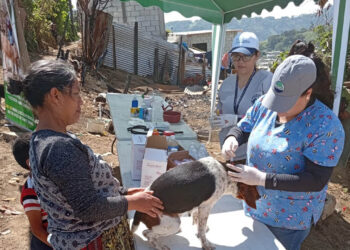 UBA brinda atención veterinaria en Santa María de Jesús