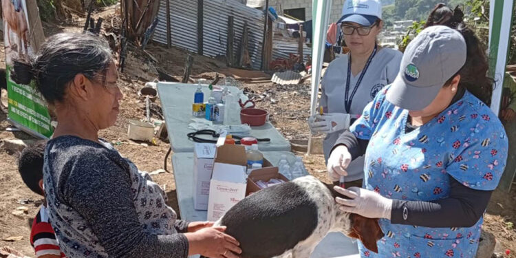 UBA brinda atención veterinaria en Santa María de Jesús