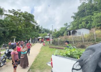 Entregan plantas frutales y semillas en la comunidad de Sehamay