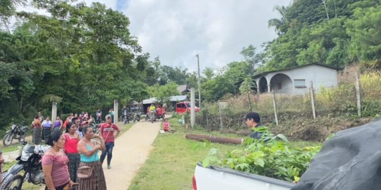 Entregan plantas frutales y semillas en la comunidad de Sehamay