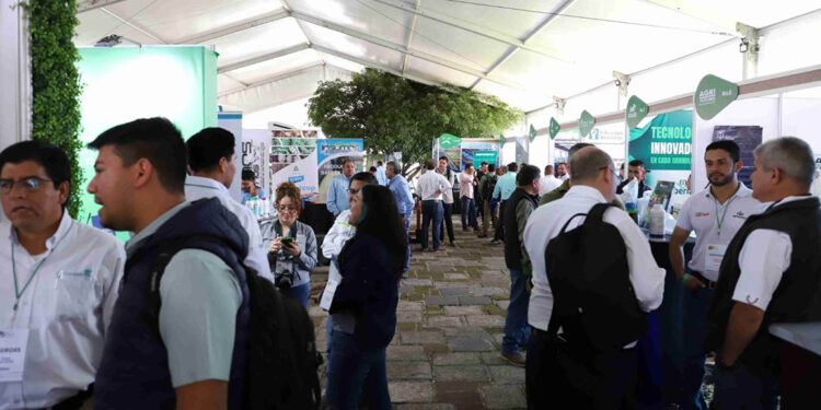 V Congreso de Aguacate impulsa expansión comercial hacia Estados Unidos