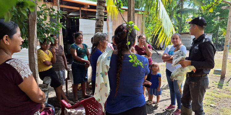 Vacunan aves de patio en Las Cruces, Petén