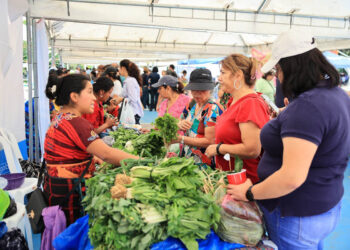 Venga al Campo Marte y descubra los sabores del huerto en la Feria del Agricultor