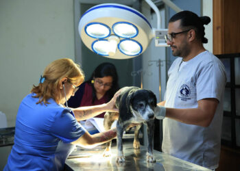 Veterinarios y zootecnistas pilares del bienestar y la salud integral