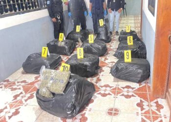 Incautan más de 100 kilos de marihuana dentro de vehículo