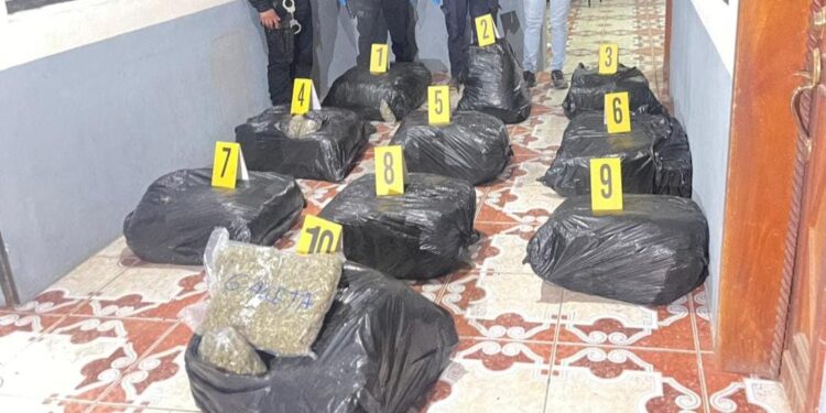 Incautan más de 100 kilos de marihuana dentro de vehículo