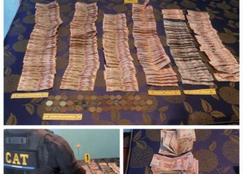 Capturan a pareja de pandilleros salvatruchas en allanamientos