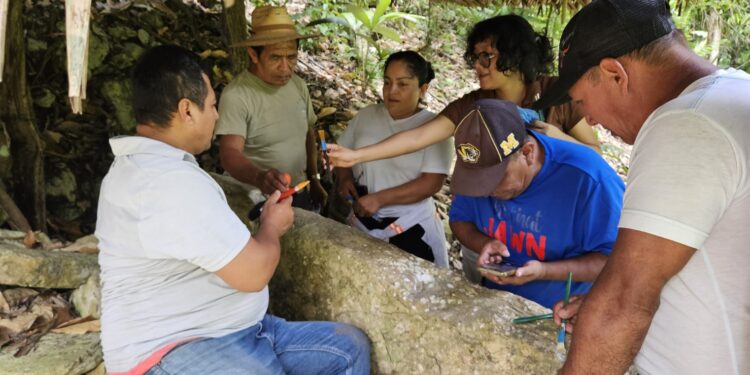 Conservación preventiva y mantenimiento del patrimonio arqueológico nacional