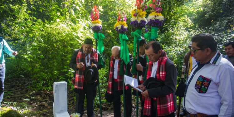 La Pa’ach: Un ceremonial ancestral que honra al maíz y celebra la conexión con la madre tierra