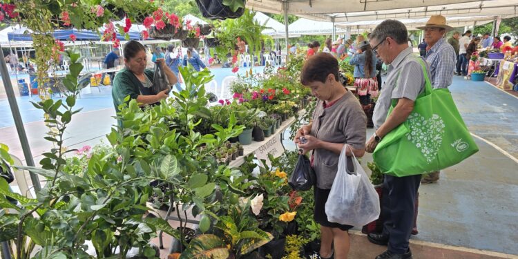 Deporte y Cosecha: El Campo Marte recibe a la Feria del Agricultor
