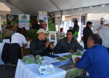 Agroencuentro: conectando el campo guatemalteco con nuevos mercados