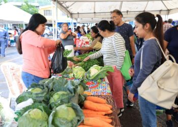 Feria del Agricultor en Villa Canales: un apoyo para productores y vecinos