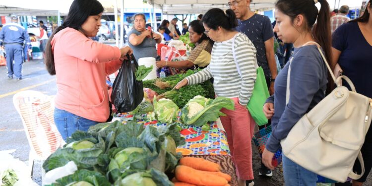Feria del Agricultor en Villa Canales: un apoyo para productores y vecinos