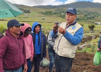 Huertos familiares fortalecen la seguridad alimentaria en Huehuetenango