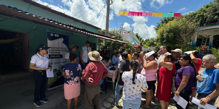 Cooperación internacional apoya producción de frijol en el Corredor Seco