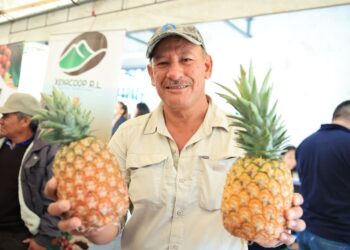 Feria del Agricultor de Villa Canales promoverá el consumo local