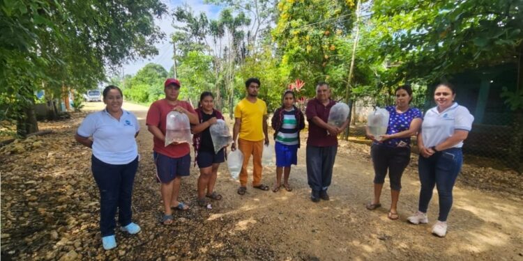 Comunidades de Petén reciben alevines para fortalecer seguridad alimentaria