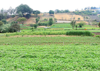 Ante continuidad de la canícula se mantiene monitoreo en 212 municipios