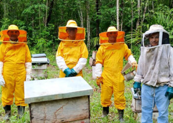 Apicultores de San Andrés, Petén gestionan su registro apícola