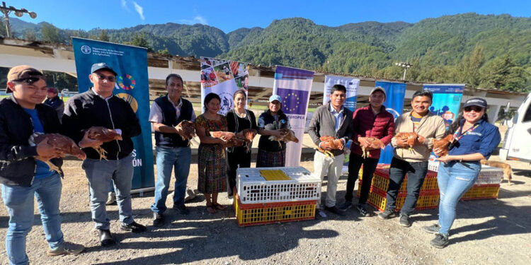 Apoyan con insumos pecuarios a jóvenes emprendedores de Quiché