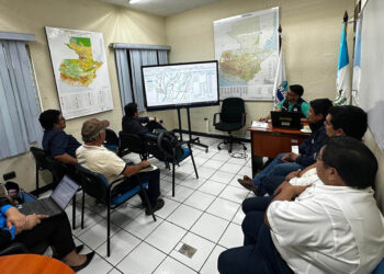 Avanza actualización del mapa de cobertura vegetal