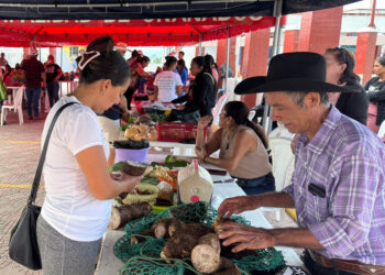 Baja Verapaz se llena de productos frescos y variados