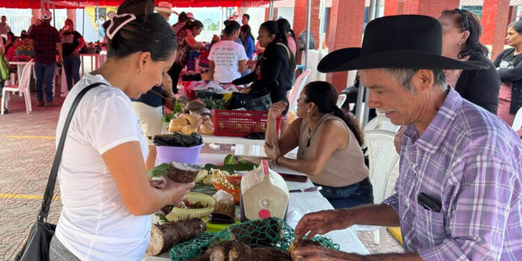 Baja Verapaz se llena de productos frescos y variados