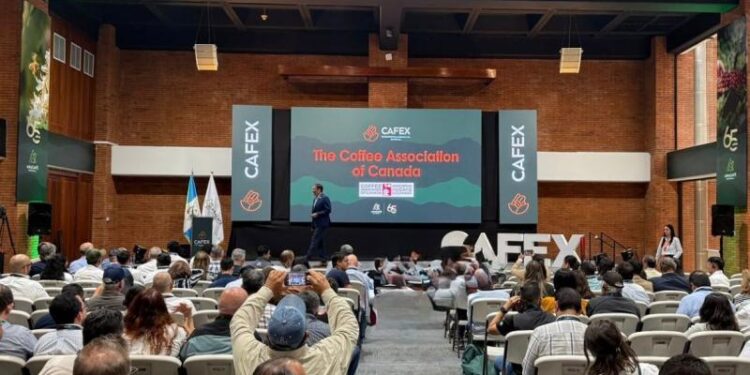 MINEX y Embajada de Guatemala fortalecen lazos comerciales con Canadá a través del CAFEX