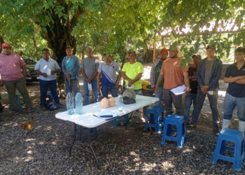 Capacitación fortalece la producción agrícola de la Costa Sur