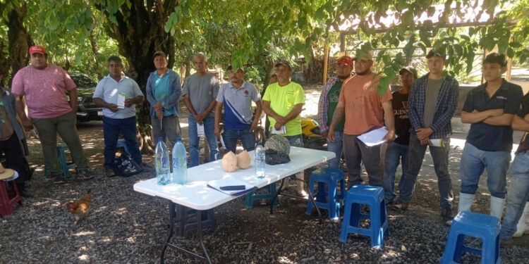 Capacitación fortalece la producción agrícola de la Costa Sur