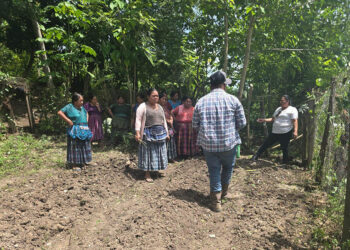 Comunidad de Sayaxché aprende manejo de huerto demostrativo