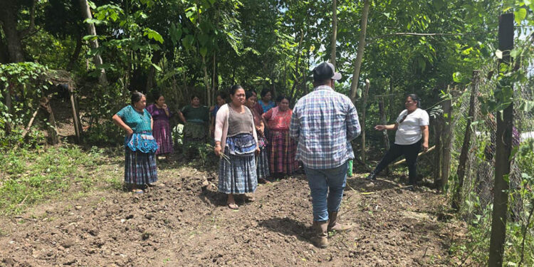 Comunidad de Sayaxché aprende manejo de huerto demostrativo