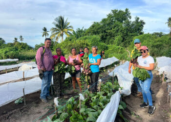 Día de Campo Agropecuario impulsa la agricultura familiar
