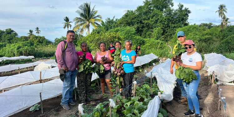 Día de Campo Agropecuario impulsa la agricultura familiar
