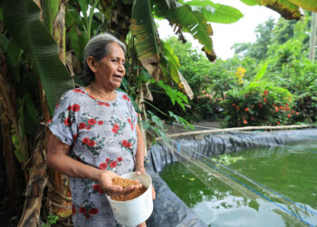 El estanque que brinda sustento y desarrollo en Masagua