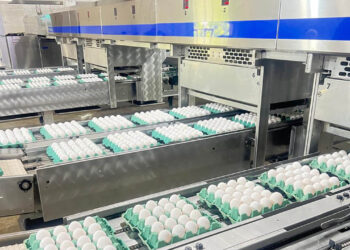 Emitidas 1145 licencias sanitarias de funcionamiento