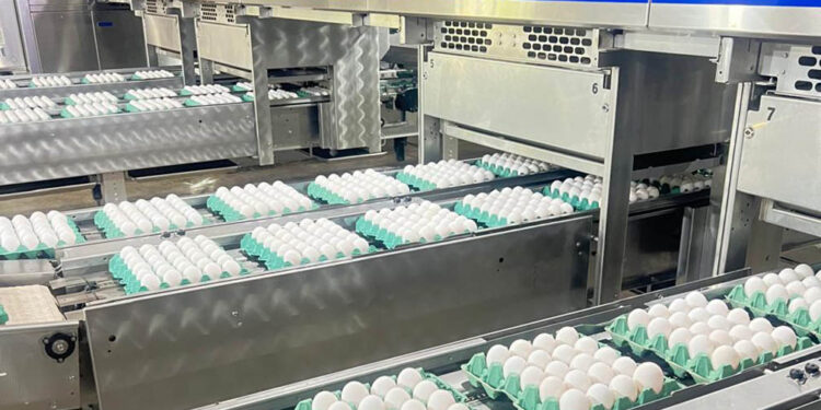 Emitidas 1145 licencias sanitarias de funcionamiento