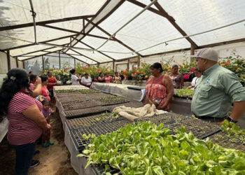 En Palencia fomentan la seguridad alimentaria en actividad de Día de Campo