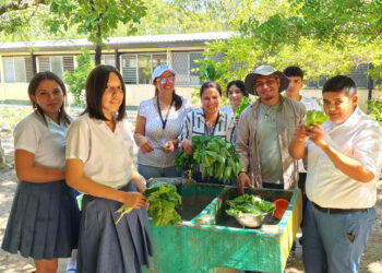 Estudiantes de Guastatoya logran primera cosecha escolar en zona del Corredor Seco