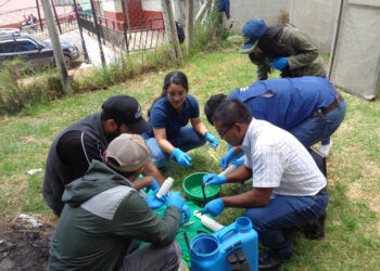 Extensionistas capacitados en el uso seguro y eficiente de los plaguicidas