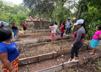 Familias inician su propio huerto en San José La Arada